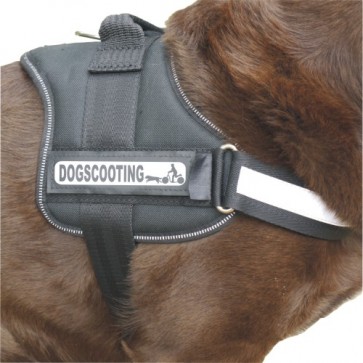 Dogscooting Klettlogo