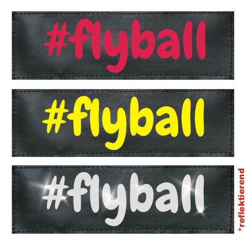 #flyball Klettlogo
